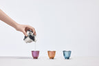 Pure Titanium Gaiwan Tea Set