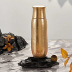 Pure Titanium Vacuum Tea Infuser Tumbler