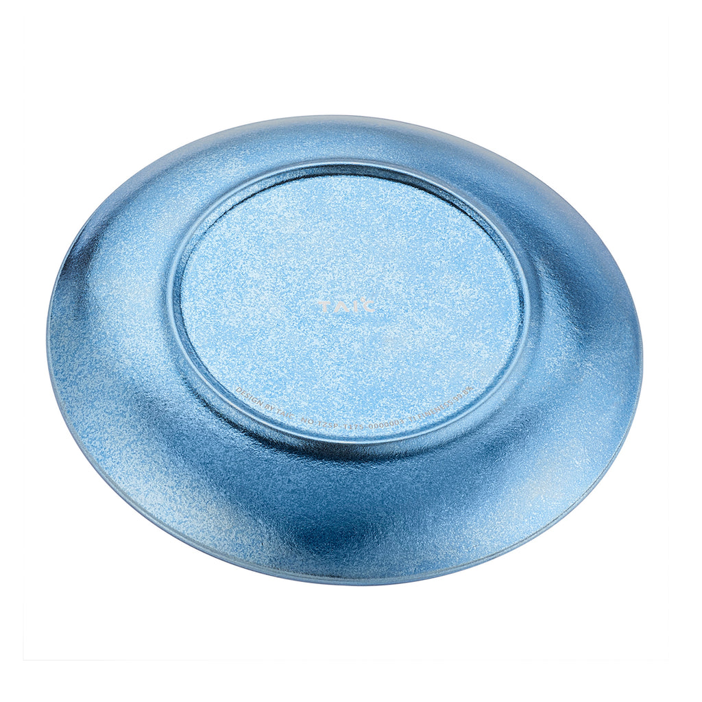 PURE TITANIUM PLATE