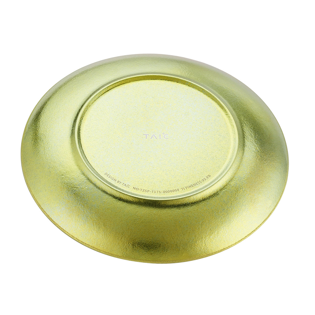 PURE TITANIUM PLATE